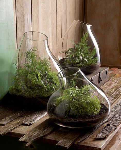Recycled-Glass-Bubble-Terrariums-by-roost-GL154-GL156